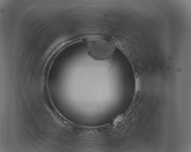 X0000082690243200702091704