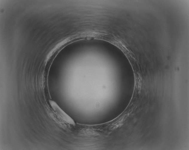 X0000082690244200702091704