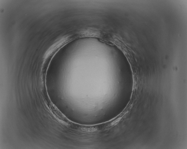 X0000082690245200702091704