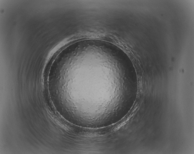 X0000082690246200702091704