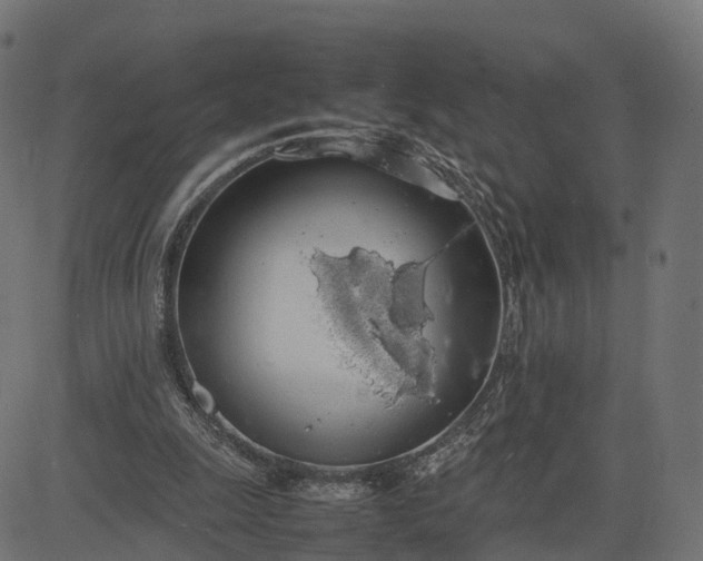 X0000082690247200702091704