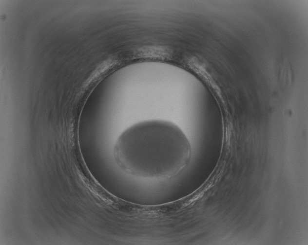 X0000082690249200702091704