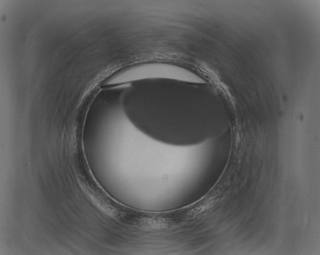 X0000082690250200702091704