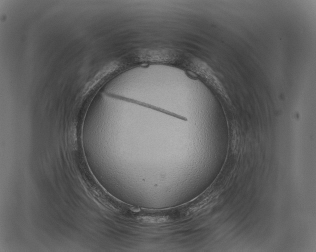 X0000082690251200702091704