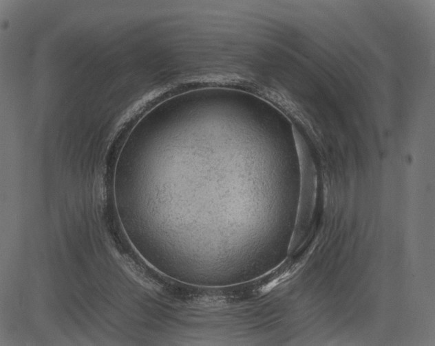 X0000082690252200702091704