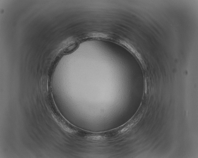 X0000082690253200702091705