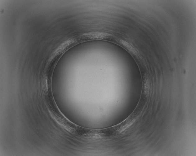 X0000082690254200702091705