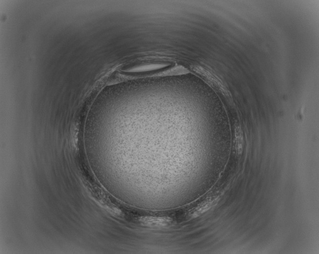 X0000082690255200702091705