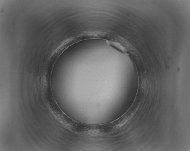 X0000082690256200702091705