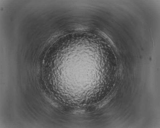 X0000082690257200702091705