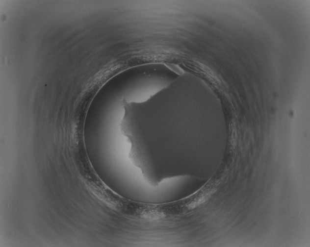 X0000082690258200702091705