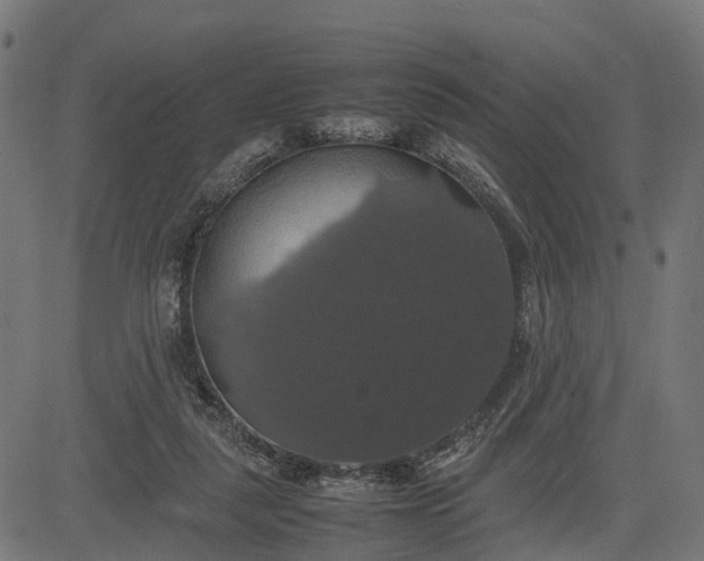 X0000082690259200702091705