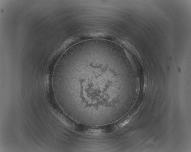 X0000082690260200702091705