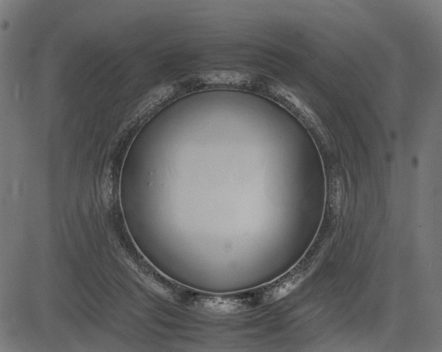 X0000082690261200702091705