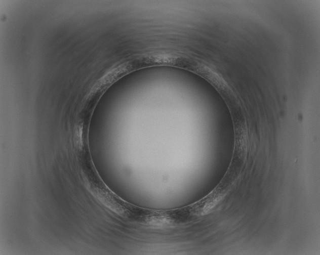 X0000082690262200702091705