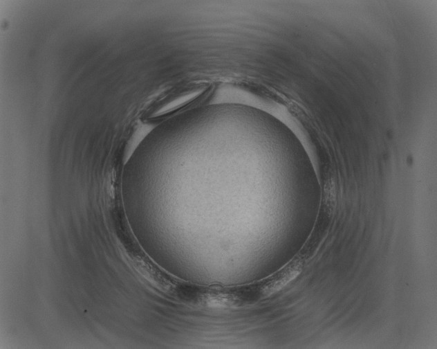 X0000082690264200702091705