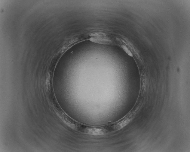 X0000082690265200702091705