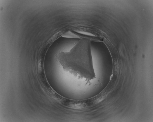 X0000082690267200702091705