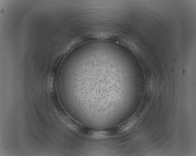 X0000082690268200702091705