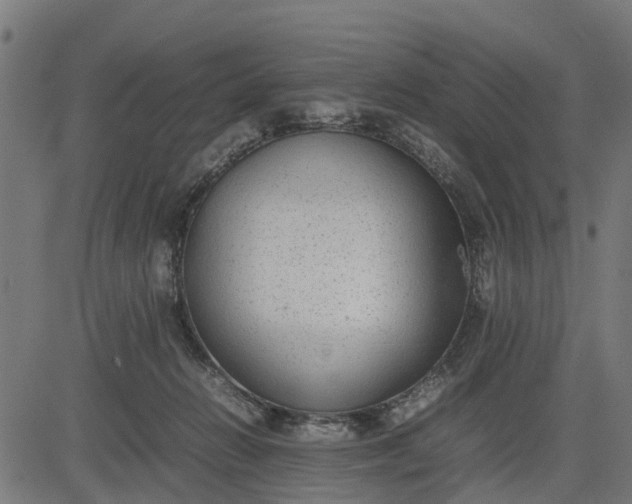 X0000082690270200702091705