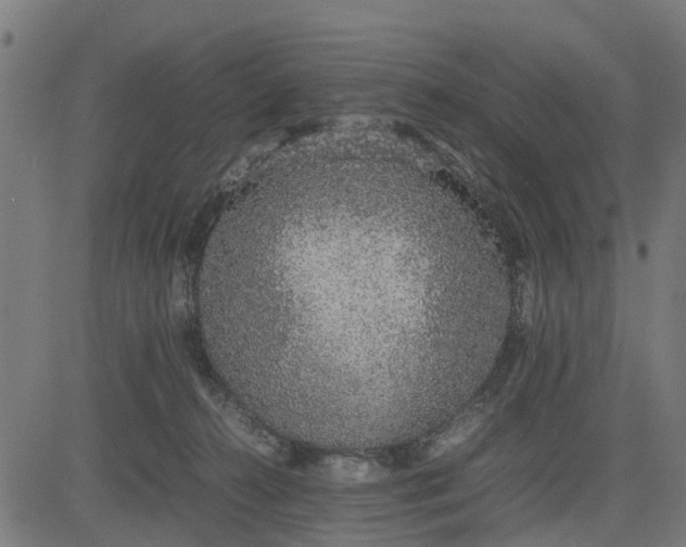 X0000082690272200702091705