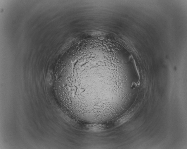 X0000082690273200702091705