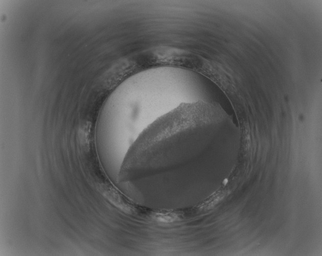 X0000082690275200702091705