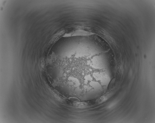 X0000082690277200702091705