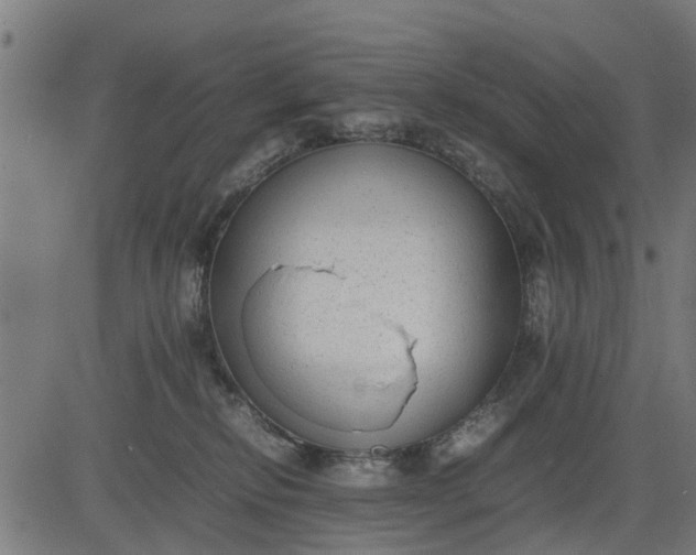 X0000082690278200702091705