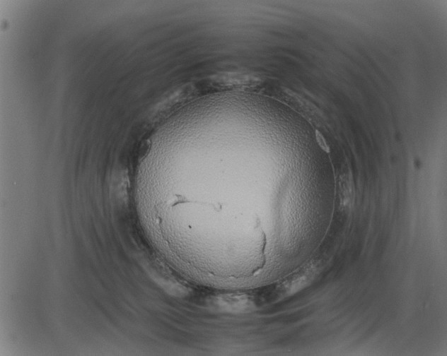 X0000082690279200702091705