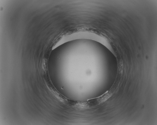 X0000082690280200702091705