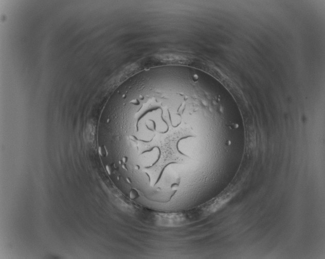 X0000082690281200702091705