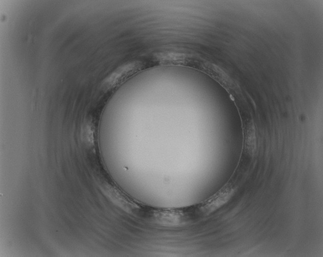 X0000082690282200702091705