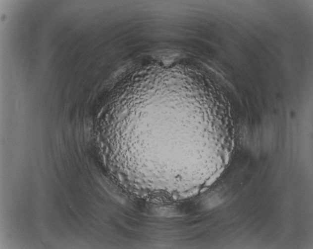 X0000082690283200702091705