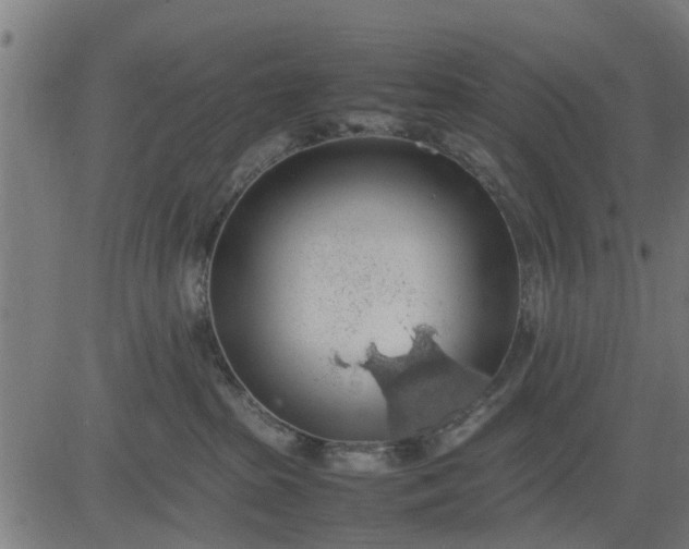 X0000082690285200702091705