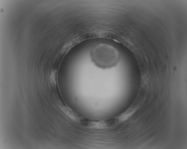 X0000082690286200702091705