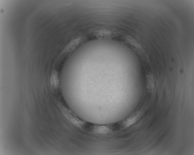 X0000082690287200702091705