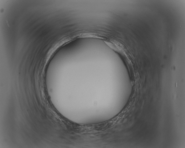 X0000082690289200702091704