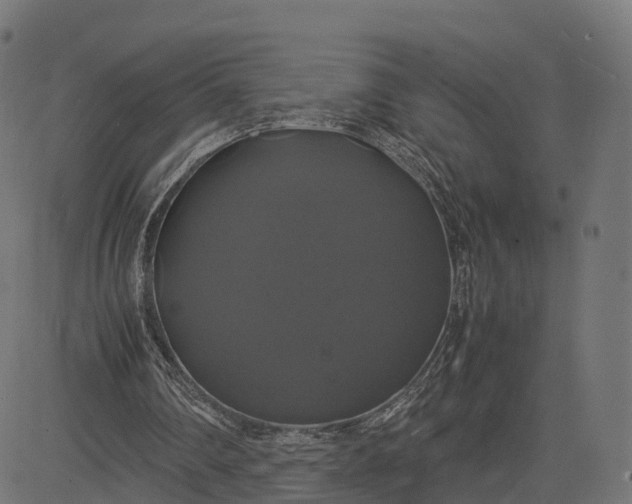 X0000082690290200702091704