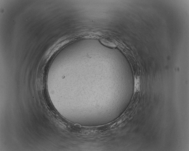 X0000082690291200702091704