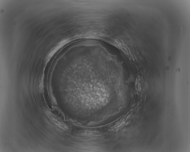 X0000082690292200702091704