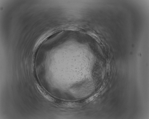 X0000082690293200702091704