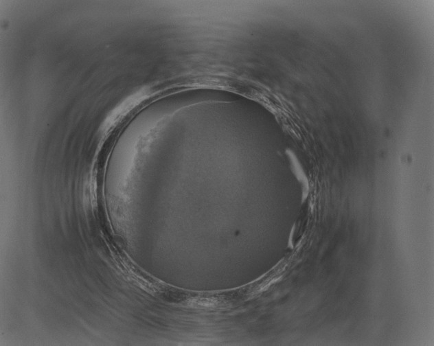 X0000082690294200702091704