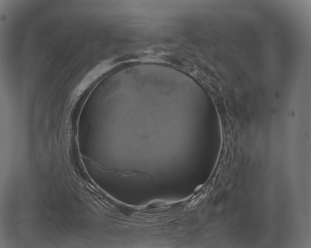 X0000082690295200702091704