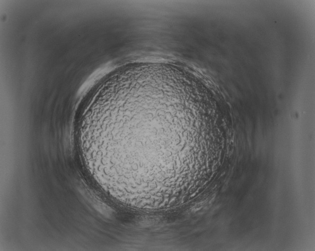 X0000082690296200702091704