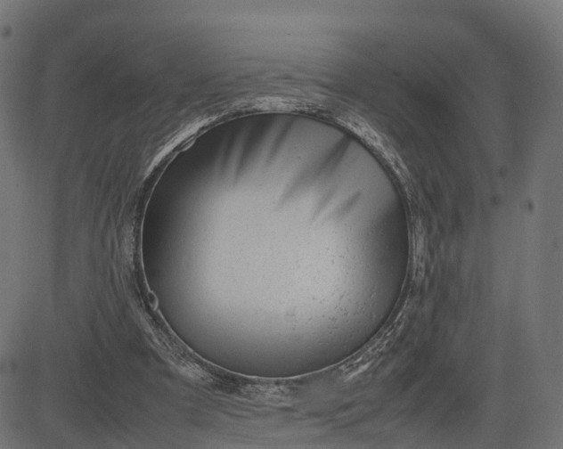 X0000082690297200702091704