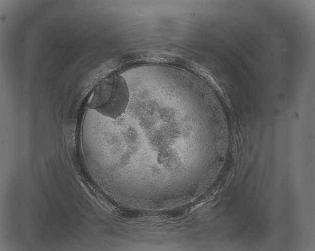 X0000082690299200702091704