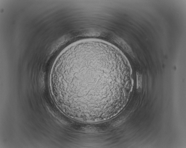 X0000082690300200702091704