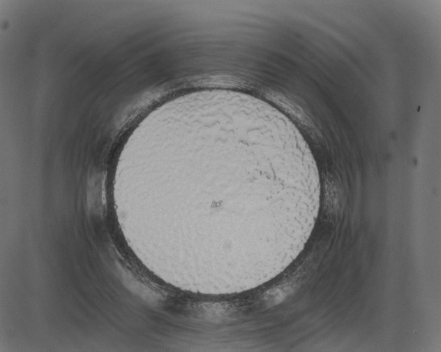 X0000082690302200702091704