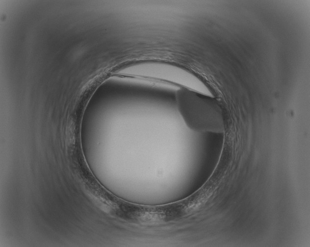 X0000082690303200702091704